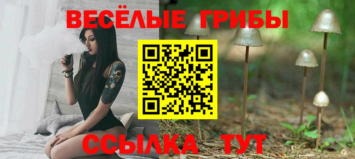 Псилоцибиновые грибы мухоморы Конаково