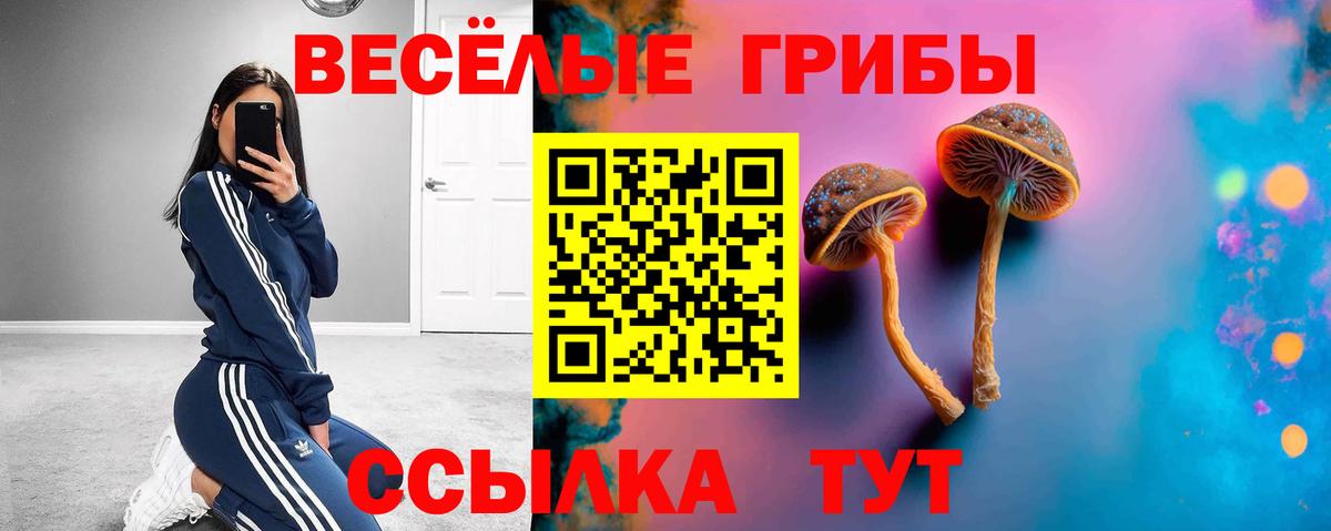 Галлюциногенные грибы Magic Shrooms  Вход с VPN  Конаково  Галлюциногенные грибы GOLDEN TEACHER 